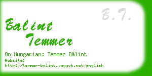 balint temmer business card